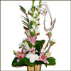 Natures Gift - Click here to View more details about this Product